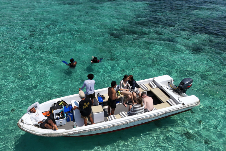 From Labuan Bajo: Komodo National Park 3-Day Liveaboard