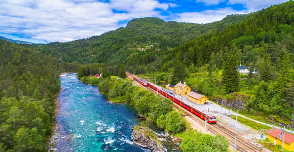 Bergen: Flåm Railway, Nærøyfjord Cruise & Stegastein View