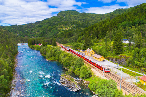 Bergen: Flåm Railway, Nærøyfjord Cruise & Stegastein View