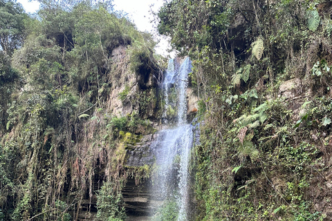 Bogotá: Visit and hike to the highest waterfall in Colombia From Bogotá: Visit and hike to La Chorrera Waterfall