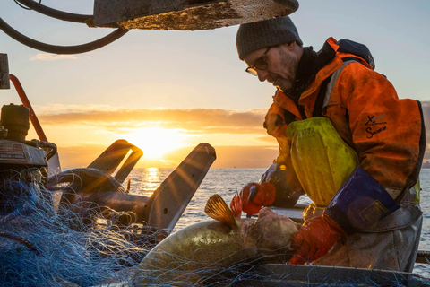 Svolvær : Voyage de pêche dans la mer de Lofoten