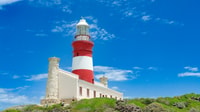 Visite privée de Cape Agulhas - Housity