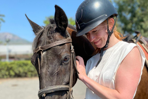 Pompeii: Ruins Tour and Mount Vesuvius Horseback Ride Tour from Pompeii Meeting Point