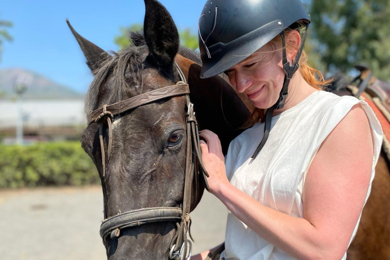 Pompeii: Ruins Tour and Mount Vesuvius Horseback Ride Tour from Pompeii Meeting Point