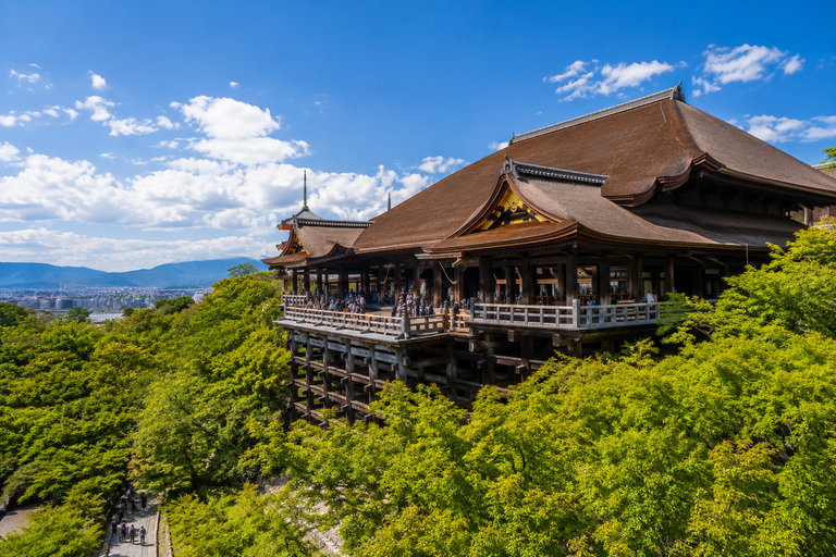 Kyoto/Osaka: Kyoto and Nara Private & Customizable Day Tour