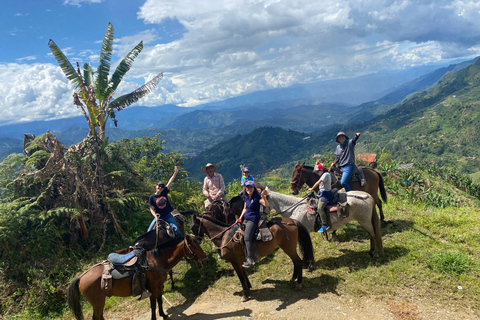 De Medellín: Visita ao café Jardín, passeio a cavalo opcional