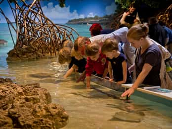 Boston: New England Aquarium Ticket Boston: New England Aquarium Ticket