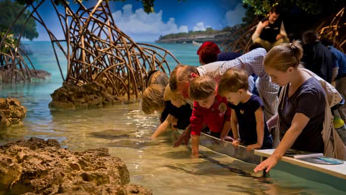 boston new england aquarium skip theline ticket