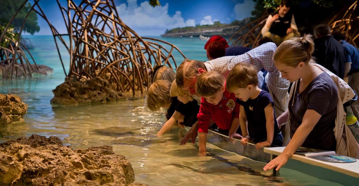 Boston: New England Aquarium Entry Ticket