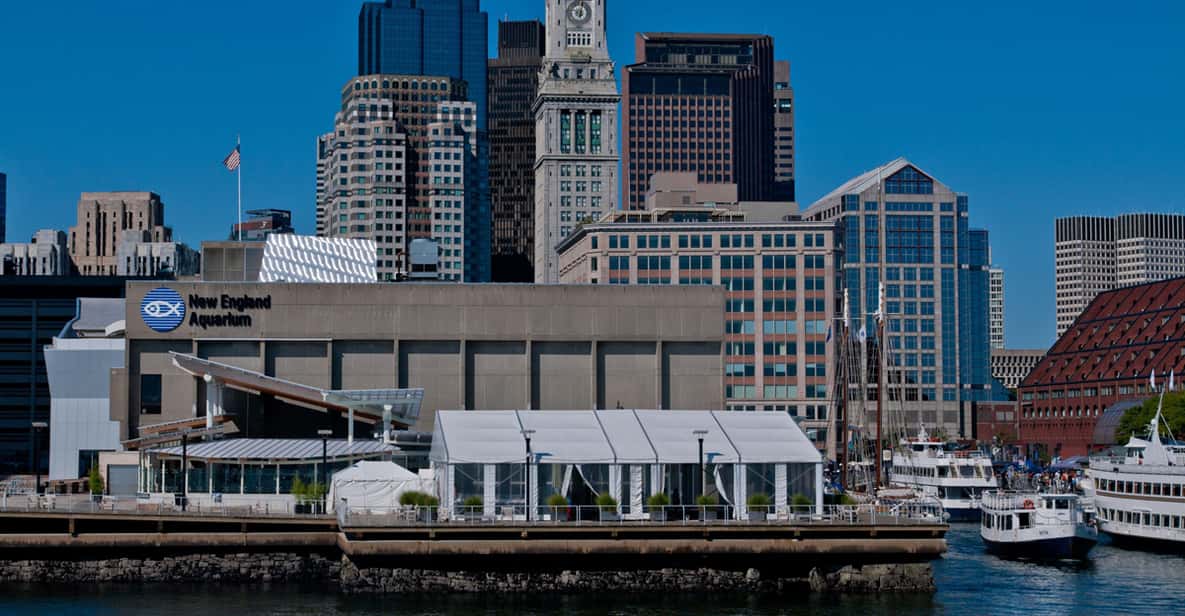 Boston: New England Aquarium Entry Ticket