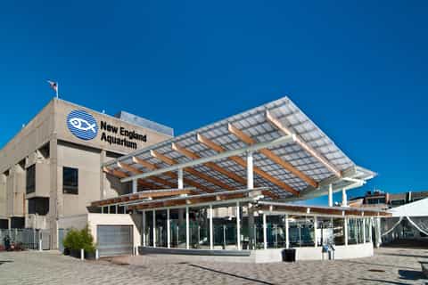 Boston: New England Aquarium Entry Ticket