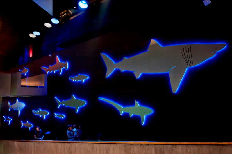 Boston New England Aquarium Ticket GetYourGuide