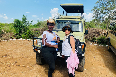 Nairobi National Park Tour Upgrade to a Jeep