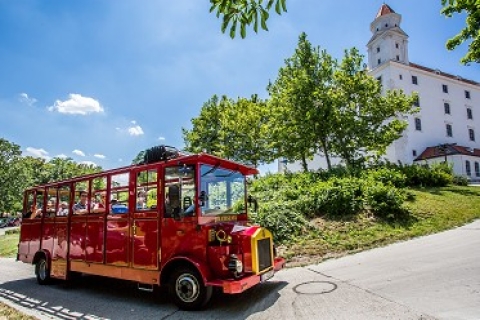 Bratislava en autobús turísticoTour del castillo de 60 min