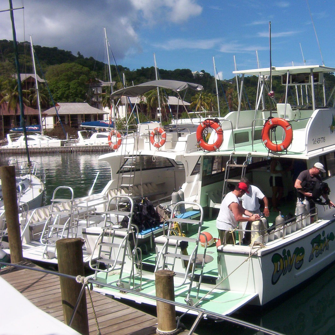 St. Lucia: Snorkeling Adventure | GetYourGuide
