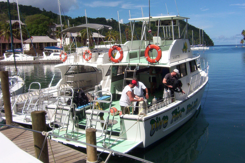 St. Lucia: 5-Hour Snorkeling Adventure Standard Option