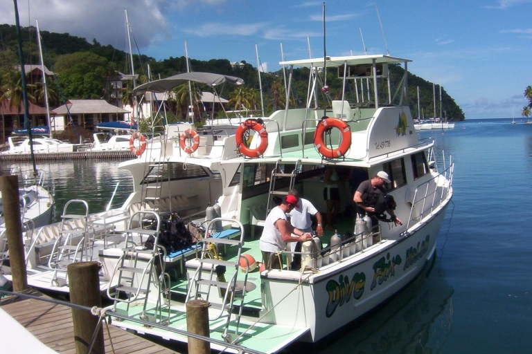 Van Castries: 5-uur durende St. Lucia duikexcursie1-daagse duik