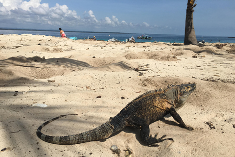 Isla Iguana Full Day Tour