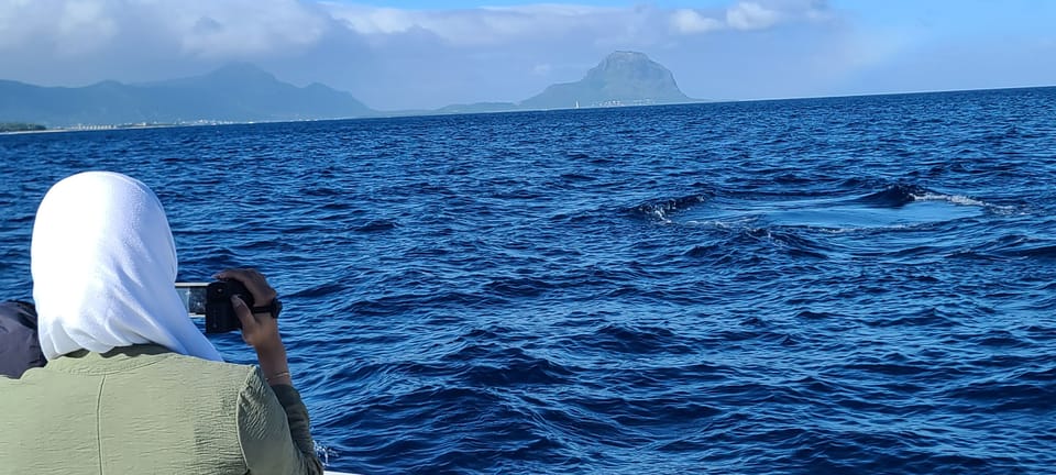 Delfines Ballenas Snorkel Y Almuerzo En La Isla De Benitiers