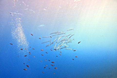 Scuba Diving in the Volcanic Caldera/shorelines of Santorini