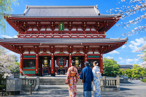 Tokyo Cherry Blossom Day Tour: Asakusa,Chidorigafuchi & Ueno 【Standard】English Guided Sightseeing Tour