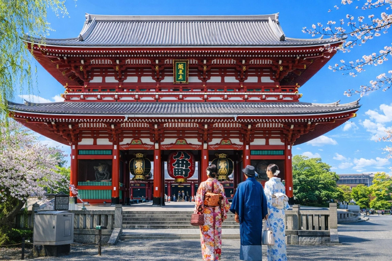 Tokyo Cherry Blossom Day Tour: Asakusa,Chidorigafuchi & Ueno 【Standard】English Guided Sightseeing Tour