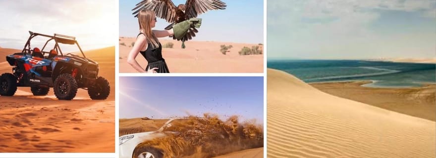 Doha : safari, balade à dos de chameau, sandboard et visite de la mer intérieure