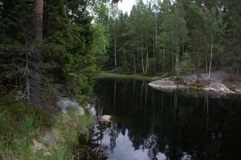 Randonnée d'une journée au parc national de Nuuksio au départ d'Helsinki
