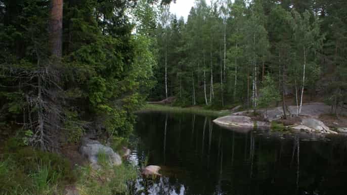 nuuksio national park fullday hike from helsinki