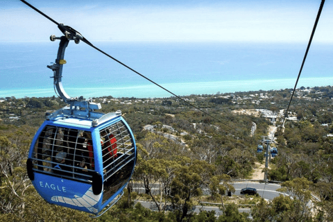 Melbourne: Mornington Peninsula Wine Tour with Lunch Melbourne Departure