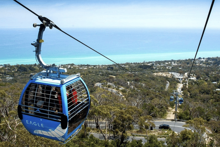 Melbourne: Mornington Peninsula Wine Tour with Lunch Melbourne Departure