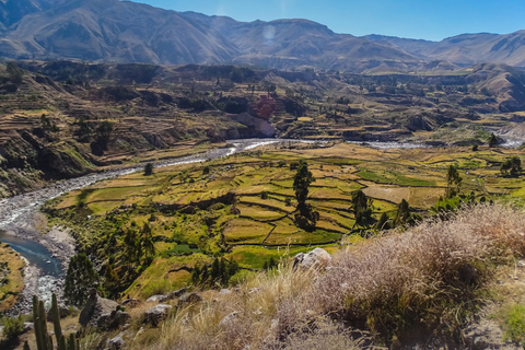 2-day tour to the Colca Valley and the Cruz del Condor