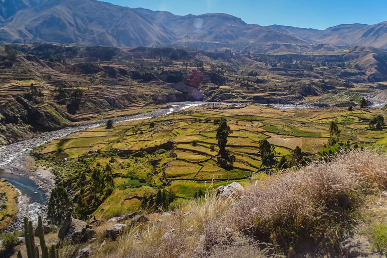 2-day tour to the Colca Valley and the Cruz del Condor