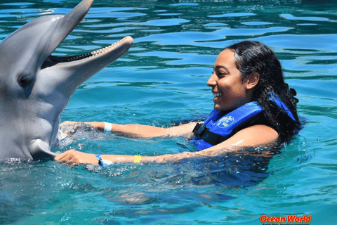 Private Puerto Plata Dolphin Encounter & Ocean World Escape
