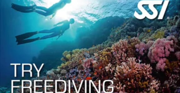 Malte: Try Freediving SSI - Baptême d&#39;apnée avec un moniteur en français