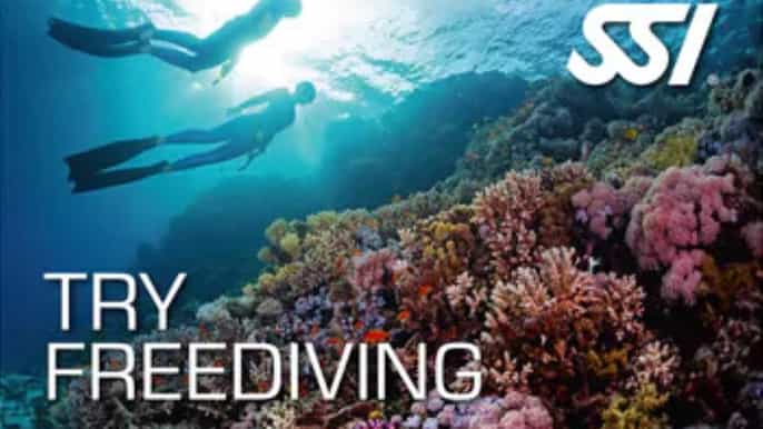 Malta: Try Freediving SSI – Introduktionskurs i fridykning med instruktör på franska
