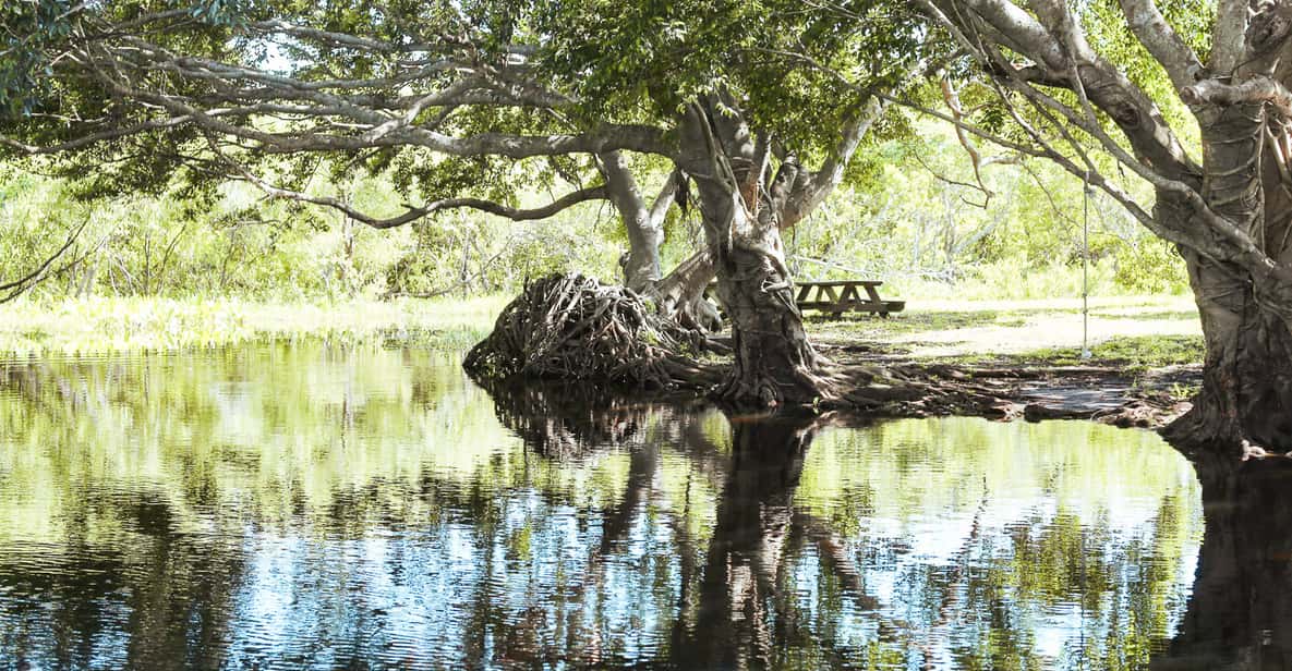 Everglades National Park: Airboat Tour and Wildlife Show