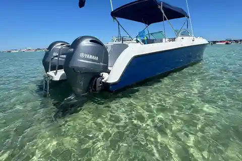 Destin: Snorkeling, Dolphins, and Crab Island