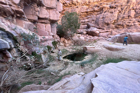 Hurghada Qattar Mountain Adventure: 4WD & Stargazing Hurghada: Gattar Mountain,Off-Road & lunch
