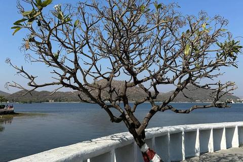 From Udaipur: Authentic Village Safari Experience