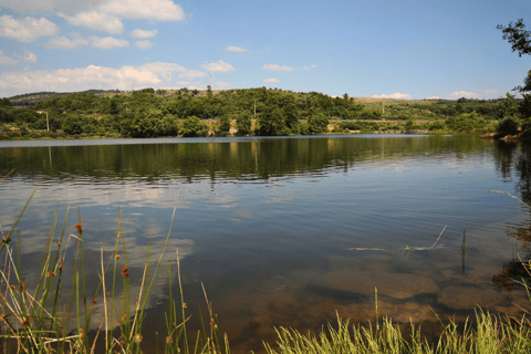 Recorrido en coche por Nidderdale con una APP