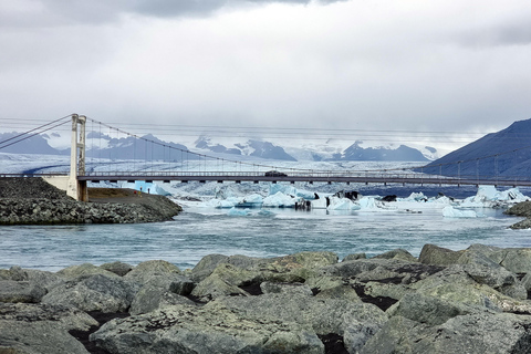 Glacier Lagoon e Costa Sul. Excursão particular de um dia