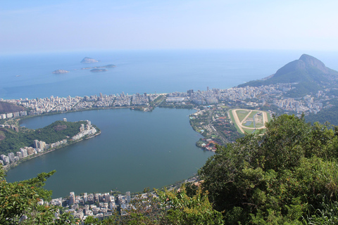 Rio : SUP Paddleboarding avec transfert en VW Kombi TransporterSUP Paddling au point de rencontre de Lagoa pendant 1,5 heures