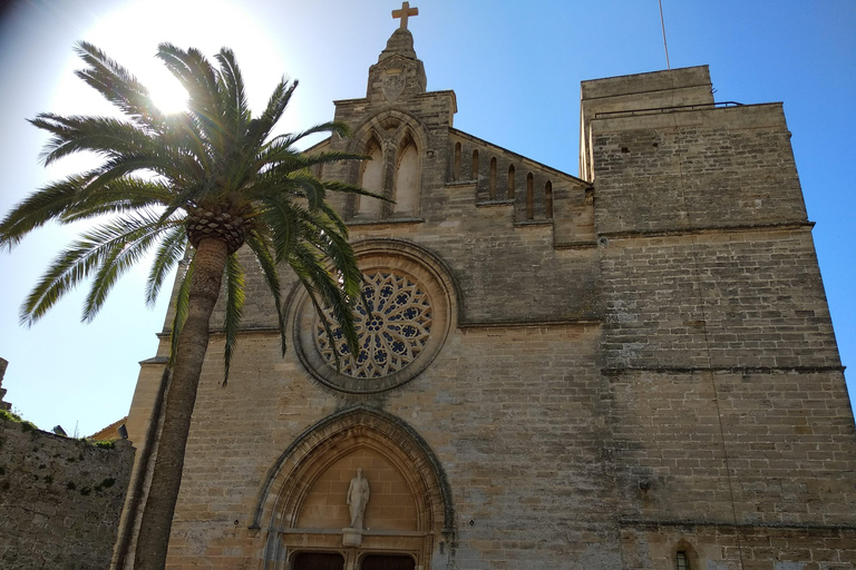 Alcudia: Spanish Course for Beginners with Activities Alcudia: 1- week Spanish Immersion Course for Beginners