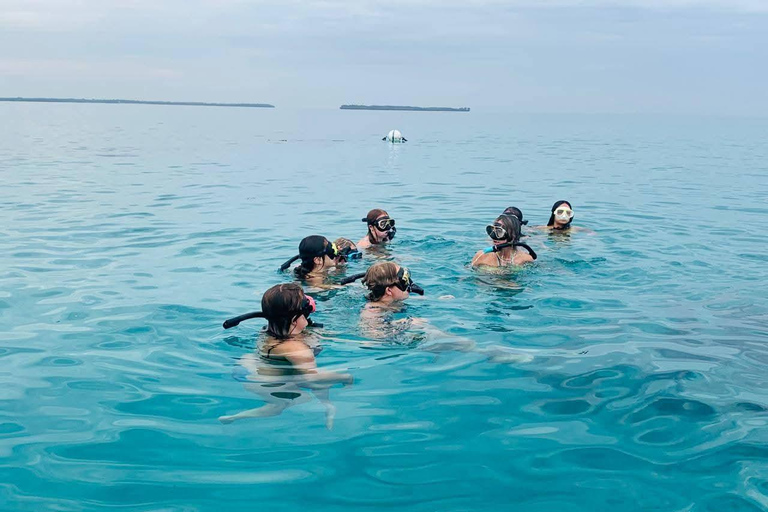 Wasini Dolphin Safari & Kisite Marine Park Dhow Day Trip