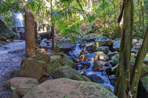 Från Brisbane: Tamborine Mountain och Paradise Point Tour