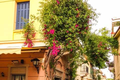 Historic Athens: Small Group Electric Bike Tour