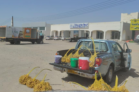 Muscat: Visit Sinaw Market, Izki Village, & Jarnan Cave Tour