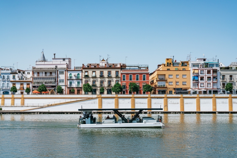 Seville: 1-Hour Guadalquivir River Sightseeing Eco Cruise Private Cruise – up to 11 people
