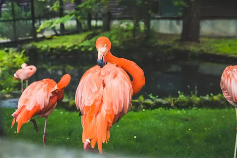 One-Day Tour to Asahiyama Zoo and Biei Blue Pond in Hokkaido